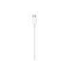 Apple Lightning to USB-C Cable (2 m)
