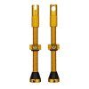 CK Valve MK2 60mm Gold
