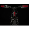 TREK Precaliber 20, 7 rychlostí (Size 20" kolo)