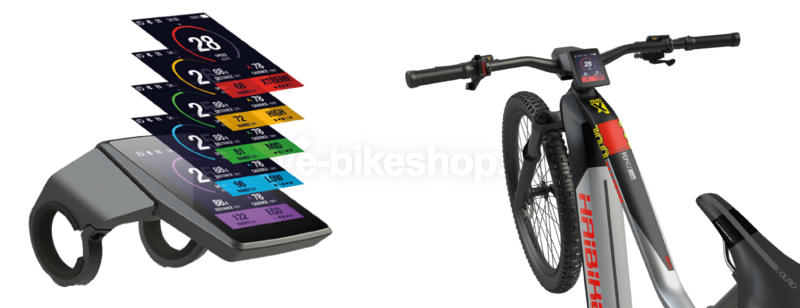 Haibike-2019-FLYON-Electric-Bike-Display-1