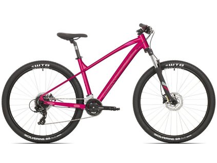 CATHERINE glos pink 40 27