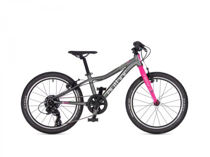 AUTHOR Record 20 2026 (Velikost 10", Barva stříbrná/růžová)