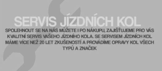 Servis jízdních kol