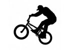 BMX, Dirt, Freestyle