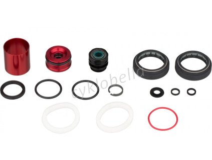 ROCKSHOX AM SVC KIT 200H/1YR BOXXER WC CHGR2 C1 Množ. Uni