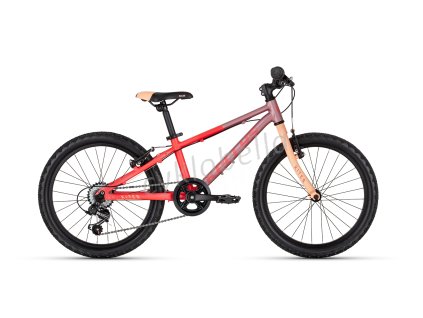 83879 85298 kellystore 26 kiter 30 coral dream 20 tv