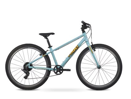 FIHA24 blue