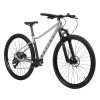 RASCAL WILD 29 LIMITKA hlinihovy ram lehke detske kolo MTB Cyklospeciality silver