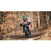 Lehké dětské kolo Early Rider 14