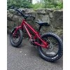 Lehké dětské kolo Nukeproof 14