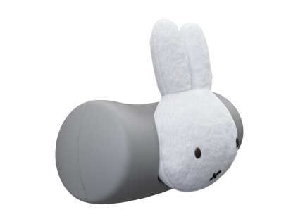 web image?source=https%3A%2F%2Fwww.thule.com%2F %2Fs%2Fapproved%2Fstd.lang.all%2F32%2F53%2F1383253