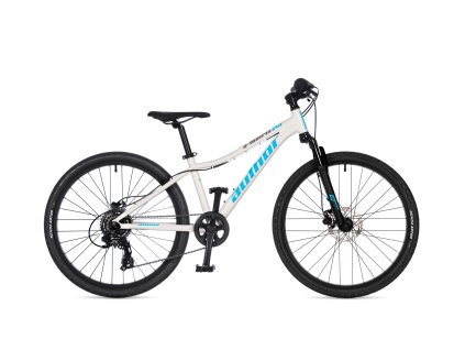 42963611 a matrix 24d n