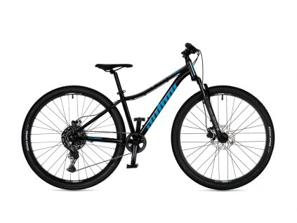 42964000 a matrix 29d