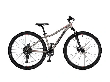 42964010 a matrix 29d