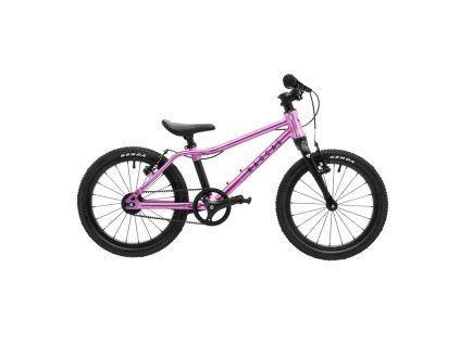 RASCAL 16 RASPBERRY
