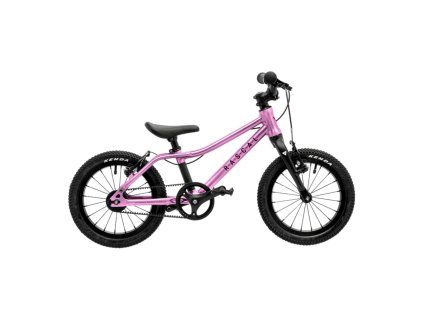 RASCAL 14 RASPBERRY
