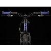 TREK PRECALIBER 20 FREEWHEEL PURPLE ABYSS