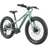 CANNONDALE KIDS TRAIL PLUS 20"