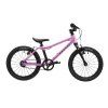RASCAL 16 RASPBERRY