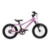 RASCAL 14 RASPBERRY