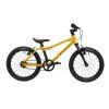 RASCAL 16 GOLD