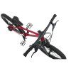 RASCAL WILD 20 RUBY RED