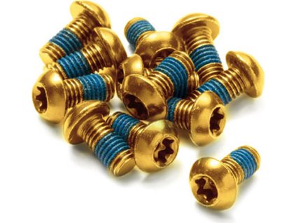 Šrouby na kotouče Reverse Steel M5 x 10 mm, Torx 25, 12 ks Gold