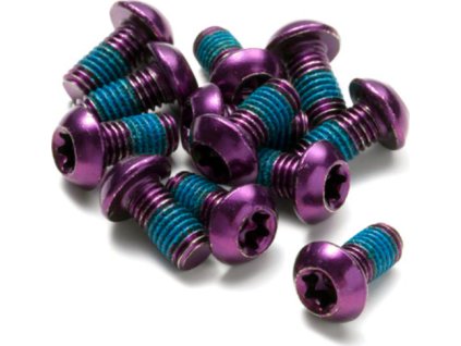 Šrouby na kotouče Reverse Steel M5 x 10 mm, Torx 25, 12 ks Purple