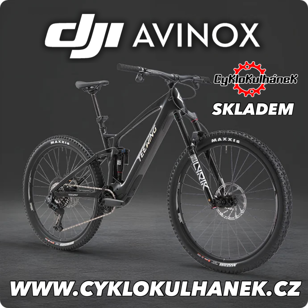 ELEKTROKOLA S MOTOREM DJI AVINOX