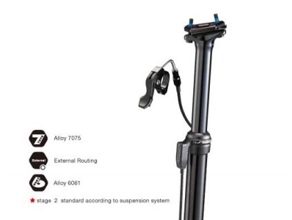 ysp19