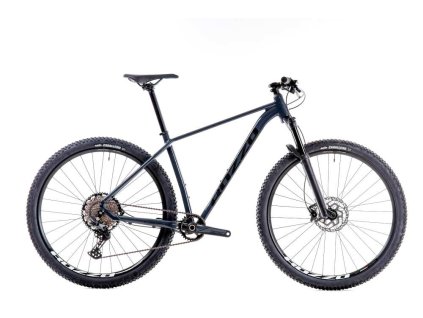 Horské kolo ROZZO BOOST 60 29" 2026 - šedá/černá (Velikost rámu 15")