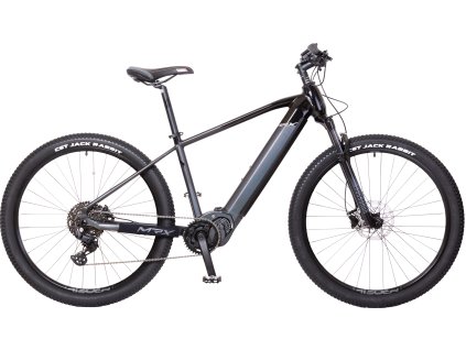 29 YAM24 chameleo cerny 2048px