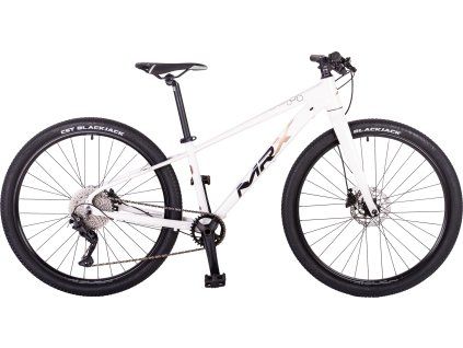 BARBUS FR26 1x10 bílo zlaty 2048px