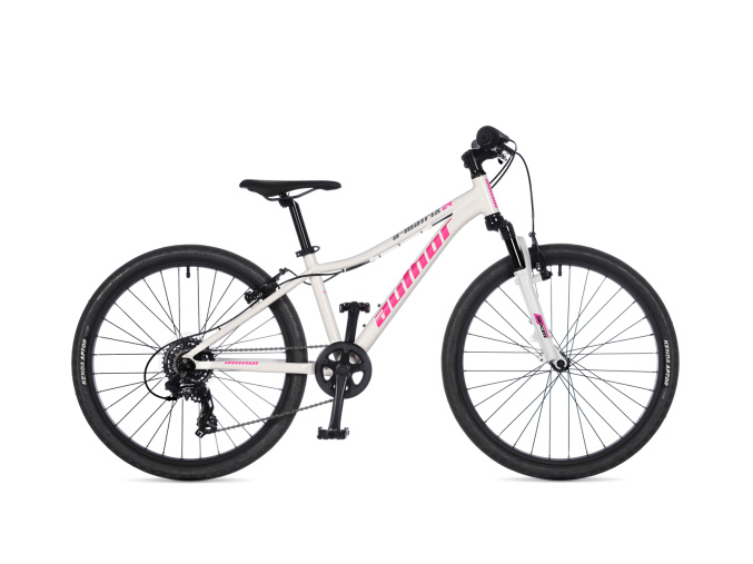 ua42963521 a matrix 24 n