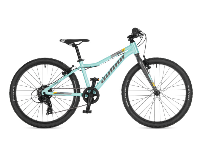ua42954411 limit 24 n