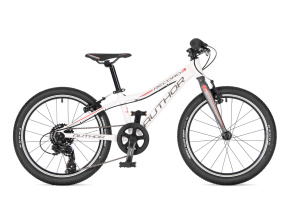 ua42953801 record 20 n