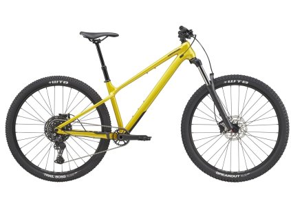 Horský bicykel Cannondale Habit HT 2 Yellow 2026