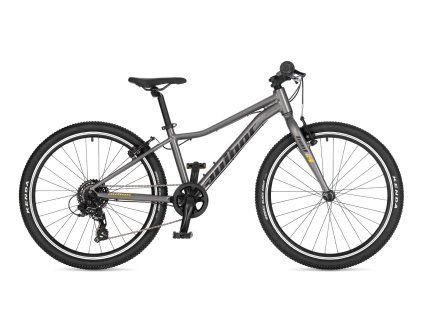author limit 24 strieborna 2026 detsky bicykel
