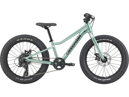 cannondale kids trail plus 20 2026 detsky bicykel 1