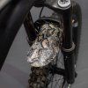 24281 1 riesel schlammpe predny blatnik snake