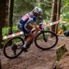 26480 2 mtb pedale look x track race
