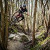 26483 2 mtb pedale look x track en rage