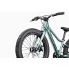 Cannondale Kids Trail Plus 20" 2026 | Detský bicykel