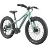 Cannondale Kids Trail Plus 20" 2026 | Detský bicykel