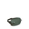 43076 osprey transporter waist pack pine leaf ladvinka