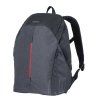 Basil B-Safe Backpack Nordlicht (Farba grafitová)