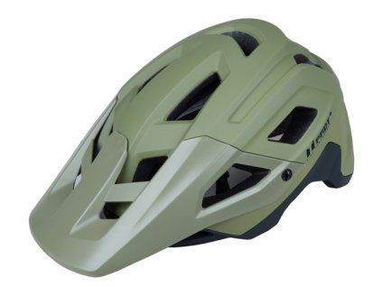 PŘILBA PRO-T Plus Leon In mold