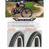 Plášť MAXXIS Aspen (Team Spec) 29 x 2.25 kevlar EXO TR 170 TPI MaxxSpeed