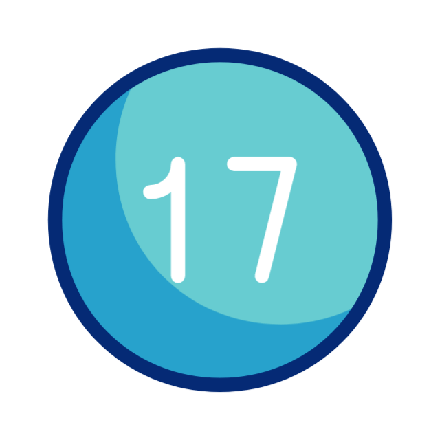 17 rokov