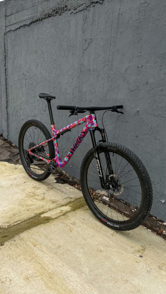 S-Works Epic WC X0 detail